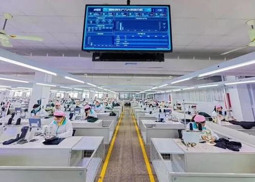 平湖躋身全省“兩化”融合20強，數字文化創意內容應用服務嶄露頭角