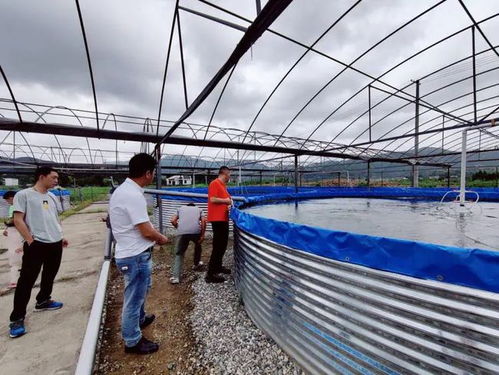 臺風“煙花”來襲，三門縣快速行動確保畜牧漁業(yè)飼料供應穩(wěn)定