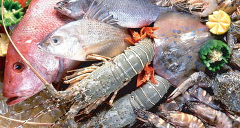 平陽人有口福了！8月1日起新鮮海產(chǎn)上市，各類海魚豐富餐桌