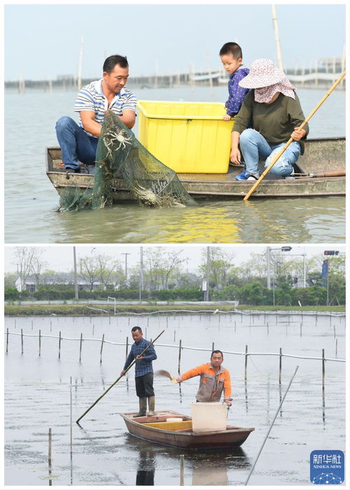 綠色太湖譜新篇 水清岸綠民富，汽車裝飾用品銷售助力生態經濟