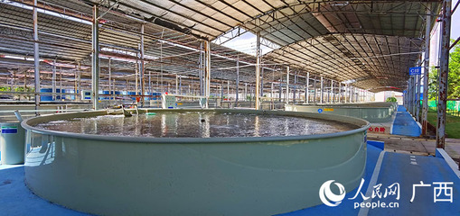 畜牧漁業(yè)飼料銷售 市場現(xiàn)狀與未來展望