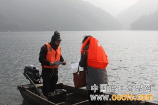 江山市多措并舉筑牢節前安全防線，守護漁業生產與市場質量雙安全